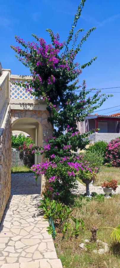 Villa Kadinela, 200M From Kamenjak, Huge Quiet Garden With Barbecue, 2 New Kitchens بريمونتيرا المظهر الخارجي الصورة