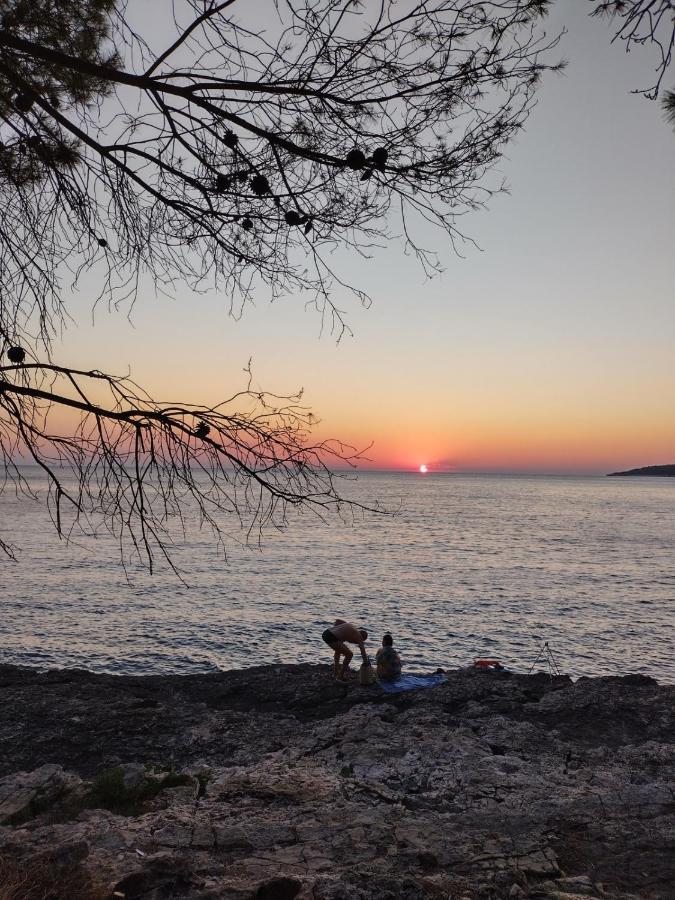 Villa Kadinela, 200M From Kamenjak, Huge Quiet Garden With Barbecue, 2 New Kitchens بريمونتيرا المظهر الخارجي الصورة