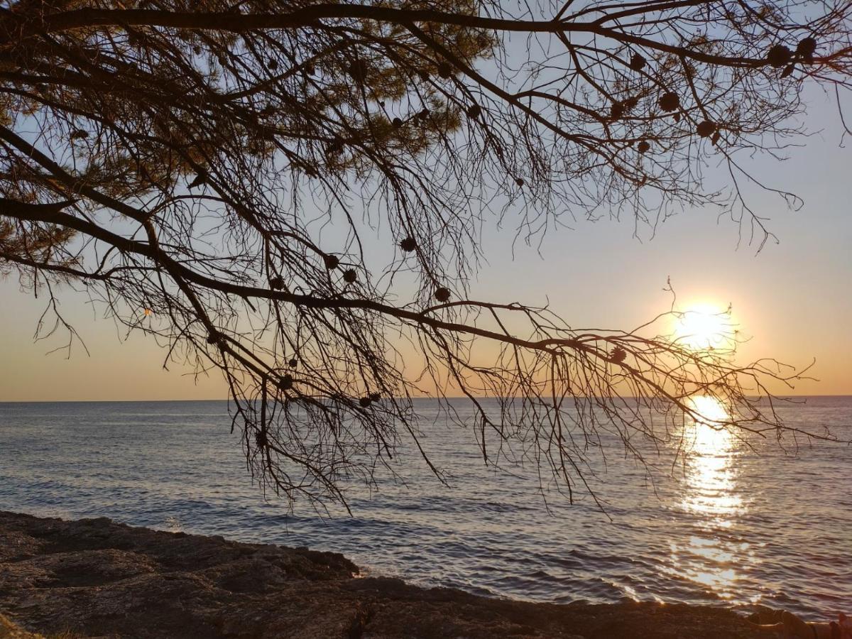 Villa Kadinela, 200M From Kamenjak, Huge Quiet Garden With Barbecue, 2 New Kitchens بريمونتيرا المظهر الخارجي الصورة