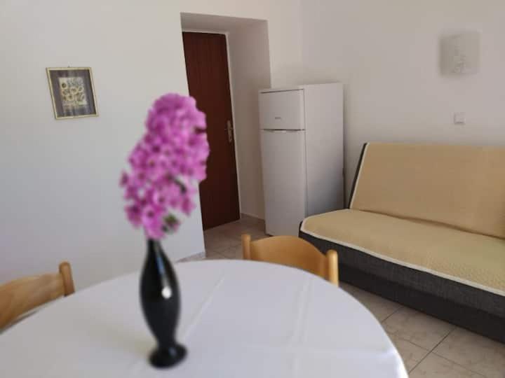 Villa Kadinela, 200M From Kamenjak, Huge Quiet Garden With Barbecue, 2 New Kitchens بريمونتيرا المظهر الخارجي الصورة