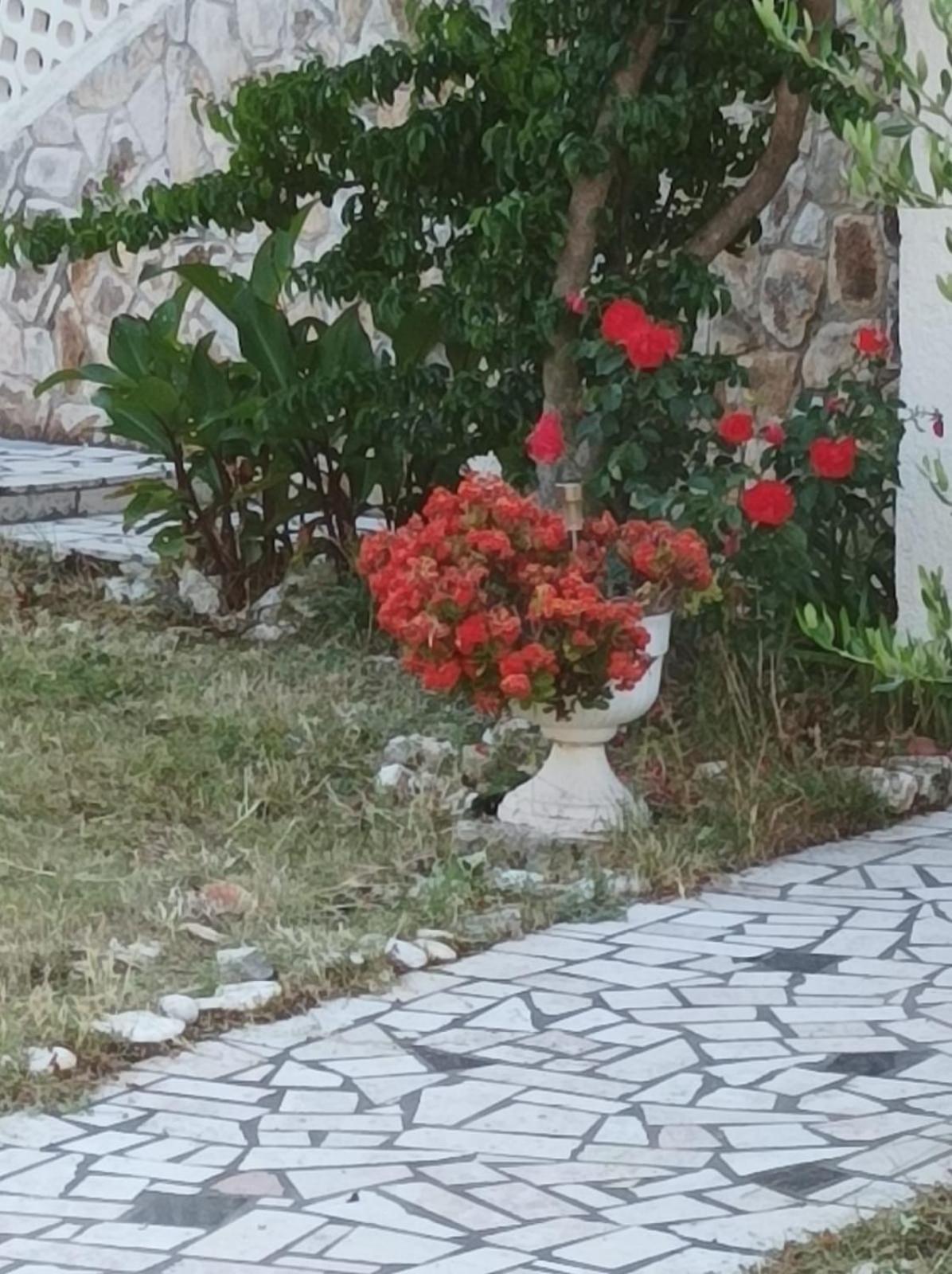 Villa Kadinela, 200M From Kamenjak, Huge Quiet Garden With Barbecue, 2 New Kitchens بريمونتيرا المظهر الخارجي الصورة